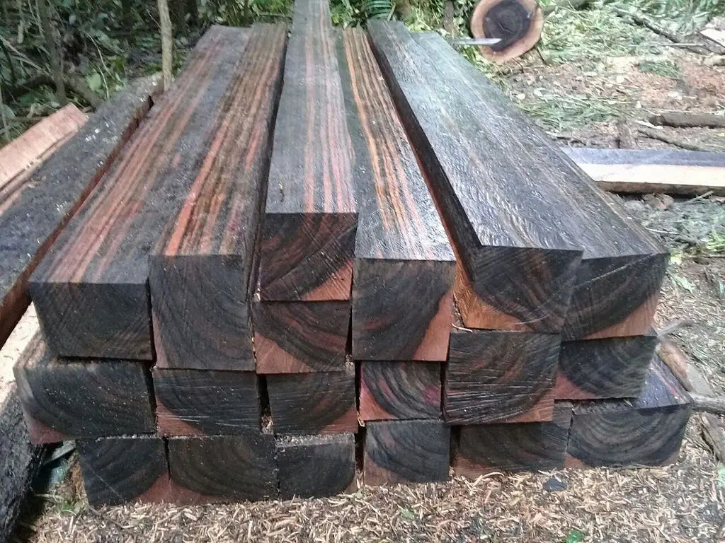 kayu sonokeling