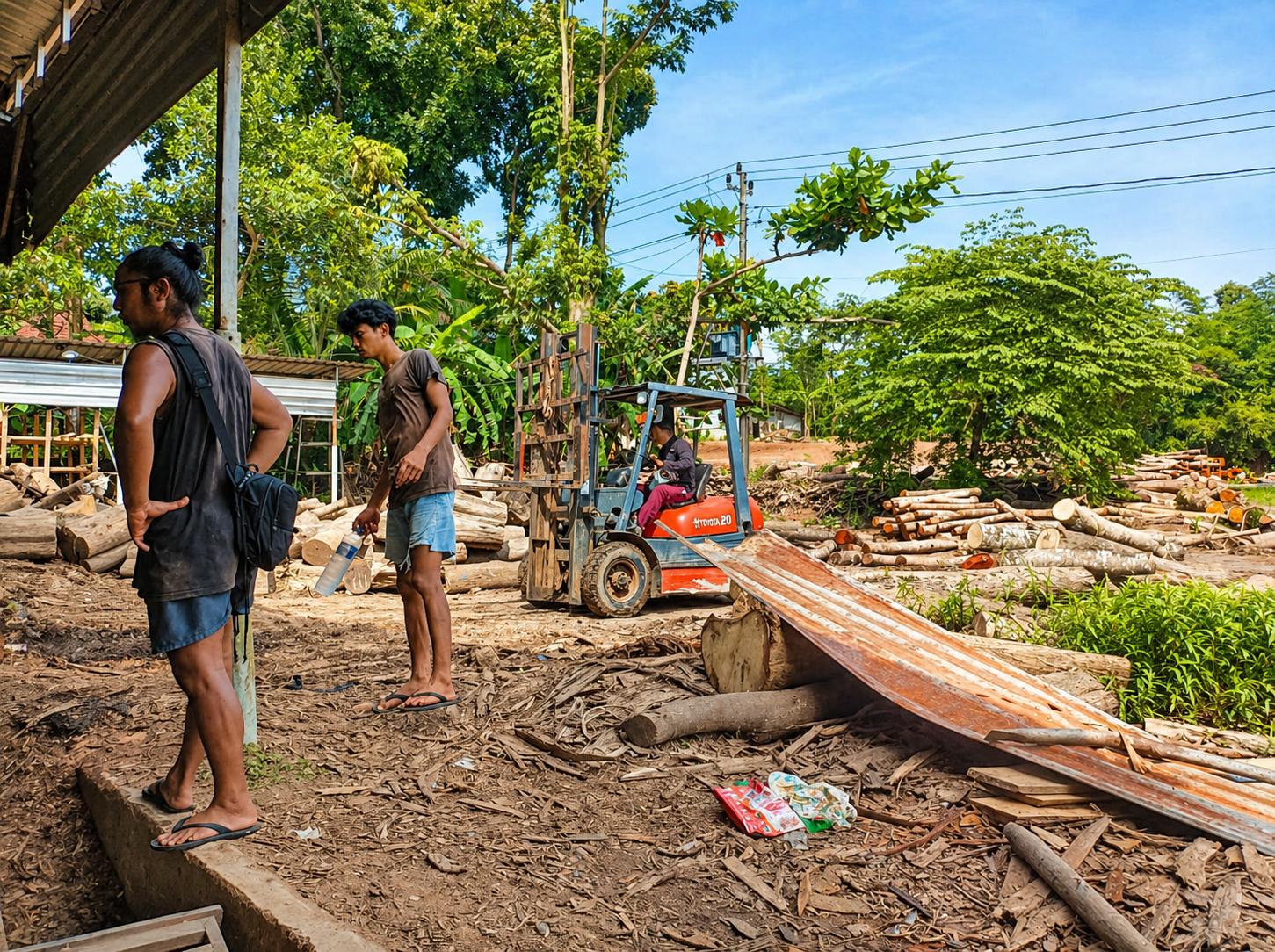 Pemilihan Jati Perhutani Kualitas Tinggi
