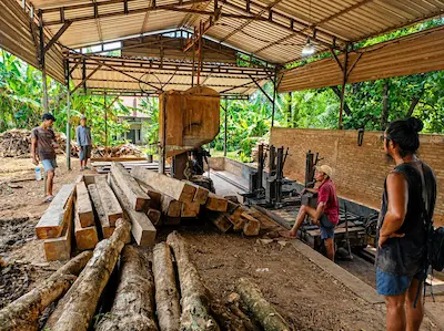 Proses pemilihan kayu jati TPK Perhutani untuk Mebel Jepara Jagad Kayu