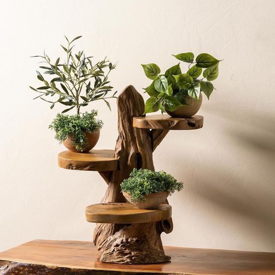 Plant Stand Akar Kayu Jati